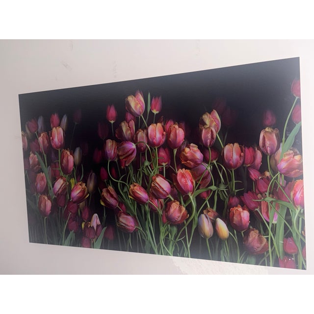 Juan Fortest Tulips Photograph Art - Florescence VII For Sale - Image 4 of 4