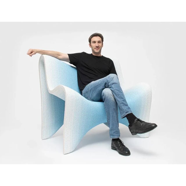 Gradient Armchair by Philipp Aduatz For Sale - Image 12 of 13