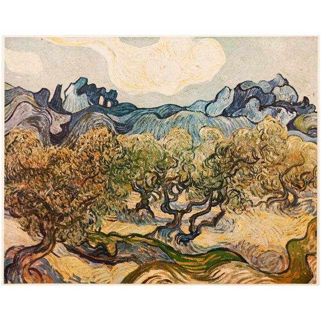 1950s Vincent Van Gogh, "Landscape With Olive Trees" 1st Edition Vintage Lithograph | Chairish