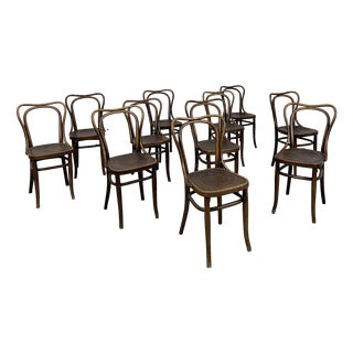 Bistro Chairs from Thonet, 1920, Set of 12 For Sale