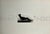 Modern Bernhard Leitner, Austrian Sound Space Architect Bernhard Leitner Photo Lithograph Hand Signed Art For Sale - Image 3 of 11
