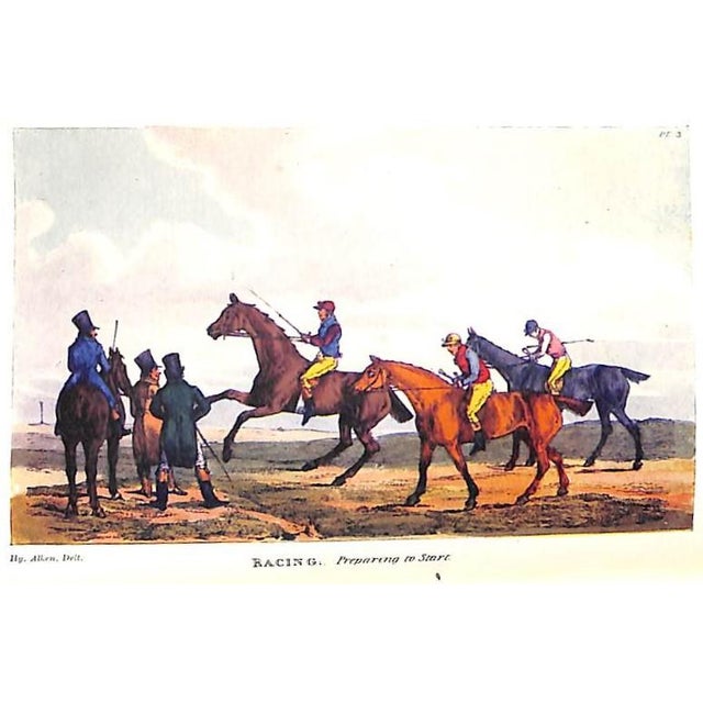 White "National Sports of Great Britain" 1903 Alken, Henry For Sale - Image 8 of 12