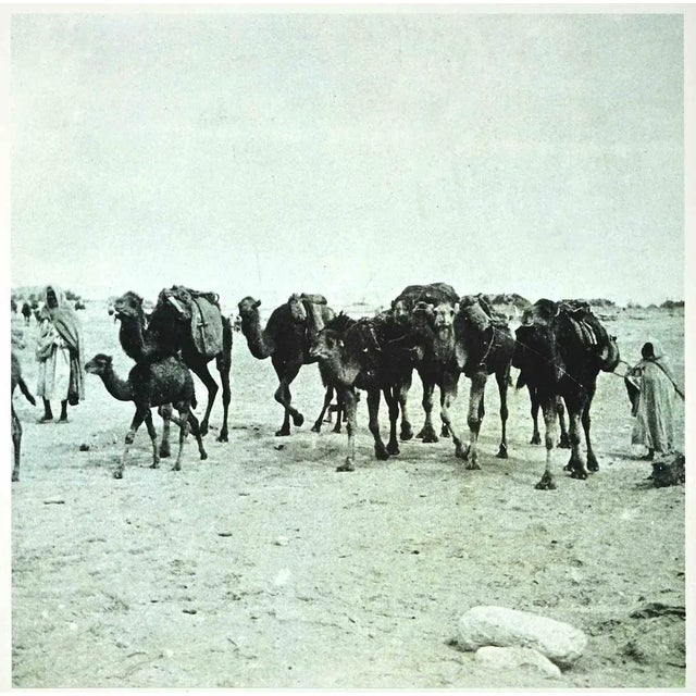 Tunisian Camels is an original photolithograph realized in the 1990s by the Italian politician Bettino Craxi after A....