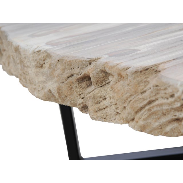Contemporary Petrified Wood Coffee Table by Xyleia Petrified Wood For Sale - Image 3 of 4