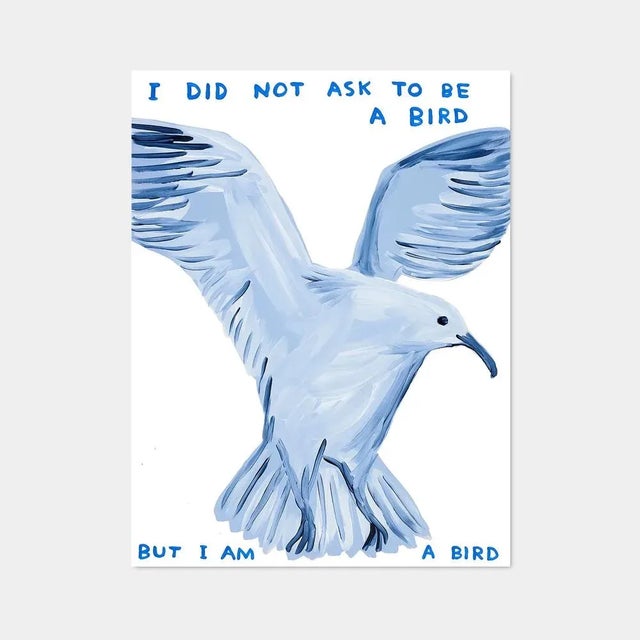 David shrigley, i did not ask to be a bird, 2021, lithograph poster, framed 64 x 84 cm (21.2 x 33.07 in) off-set...