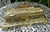 Large Antique Ornate Brass Inkwell, 1820 For Sale - Image 4 of 14