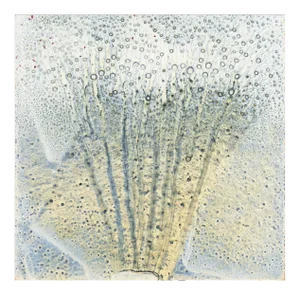 'Tonalist Oceanic Abstract' by Margery Chen, 1980