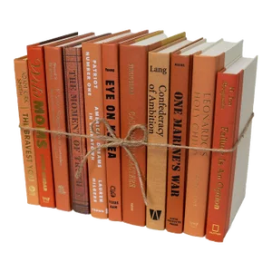 Decorative Books - Canyon Book Bundle - 1 Foot of Orange Books
