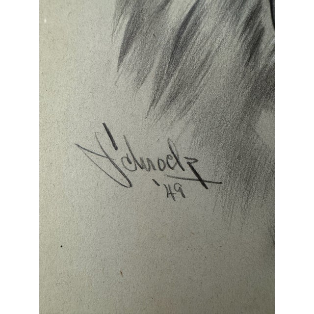 1940s 1940s Original Signed Graphite Illustration of Shetland Sheepdog Portrait, 10.75 × 8 In. For Sale - Image 5 of 6
