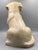 Ceramic Golden Labrador Puppy Figurine, 1980s For Sale - Image 6 of 14