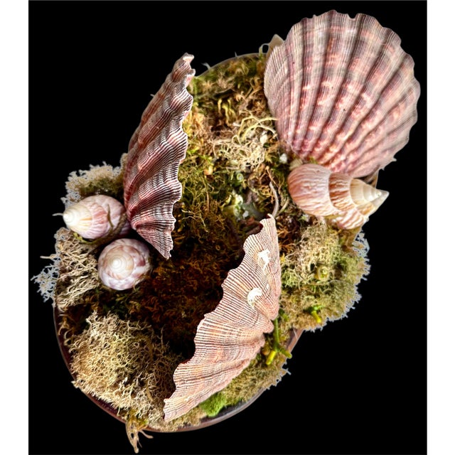 50s Chinese Wood Foot Tub Shell Collection Vase Natural Bowl Asian Chinoserie Vintage For Sale - Image 17 of 18