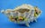 Baroque Antique Shell-Shaped Porcelain Centrepiece from C.G Schierholz & Sohn Manufactory of Plaue, Germany, 1800s For Sale - Image 3 of 18