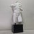 Neoclassical Metropolitan Museum of Art Classical Torso Sculpture, 1982 For Sale - Image 3 of 10
