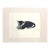Vintage 1943 Clare Turlay Newberry Cat Kitten Print in 14x18 Mat, "Mittens" with Mat For Sale
