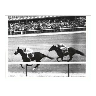 1973 Miami Horse Racing Photograph For Sale