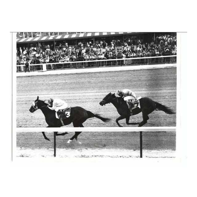 1973 Miami Horse Racing Photograph For Sale
