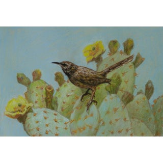 Cactus Wren by J. Adam McGalliard | Pastel on Paper Bird perched on cactus with flowers. For Sale