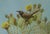 Cactus Wren by J. Adam McGalliard | Pastel on Paper Bird perched on cactus with flowers. For Sale