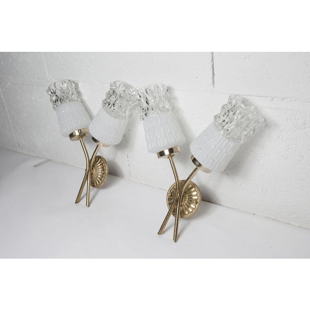 1960s Brass and Glass Wall Lights, 1960s, Set of 2 For Sale - Image 5 of 18