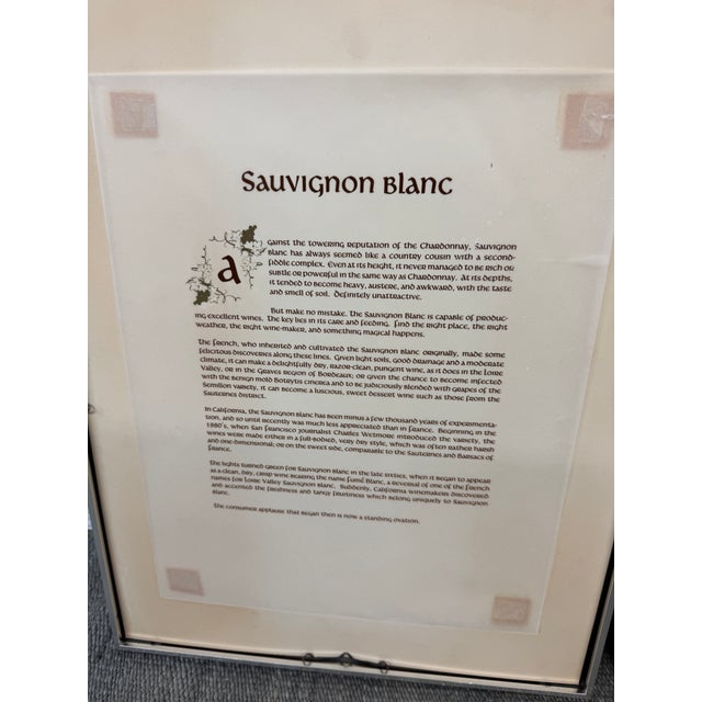 Printmaking Materials Vintage Wine Grape Varietal Lithographs, Set of Four For Sale - Image 7 of 12