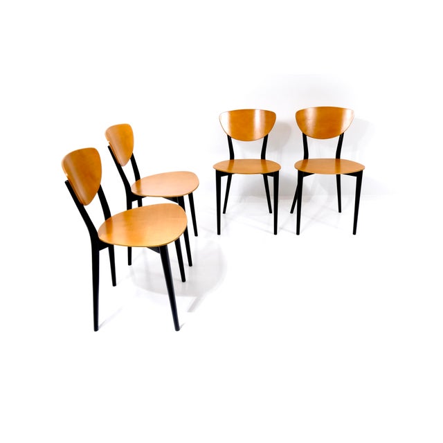 Vintage Swiss Chairs by Kurt Thut, 1953, Set of 4 For Sale - Image 15 of 18