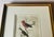 Antique Hand-Colored Litghograph , "The Crowned Flycatcher" C. 1853 For Sale - Image 4 of 18