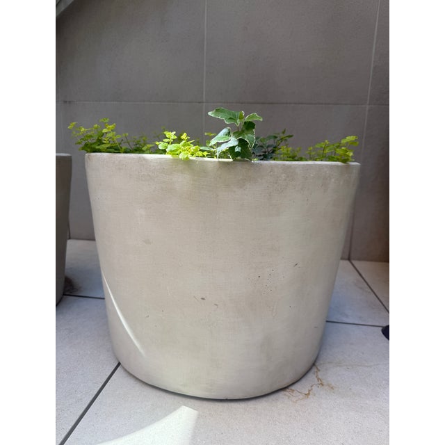 Elegant and understated compliments any garden.
