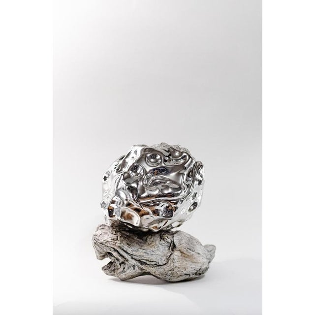 Arctic Circle Series Sculpture #1 in Glass and Driftwood by Szkło Studio For Sale - Image 6 of 7