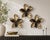 Black Golden Orchid For Sale - Image 8 of 11