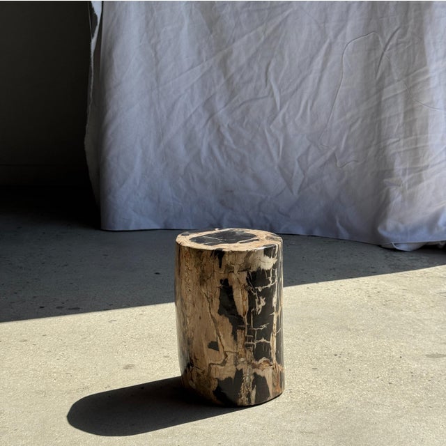 Small Side Table in Petrified Wood, Black Heartwood, Bark with Black and Beige Streaks, 1980s For Sale - Image 10 of 18