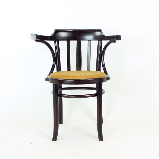 Bentwood Armchair from Ton, Czechoslovakia, 1950s For Sale - Image 14 of 14