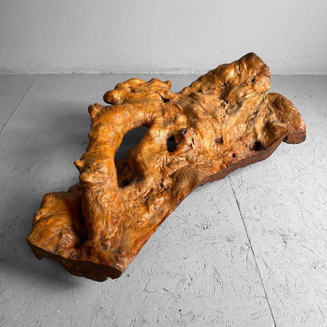 Wabi Sabi Burl Wood Decoration, Japan, 1950s For Sale - Image 9 of 17