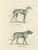 Greyhound and English Mastiff in Detail, 1836, Lithograph For Sale