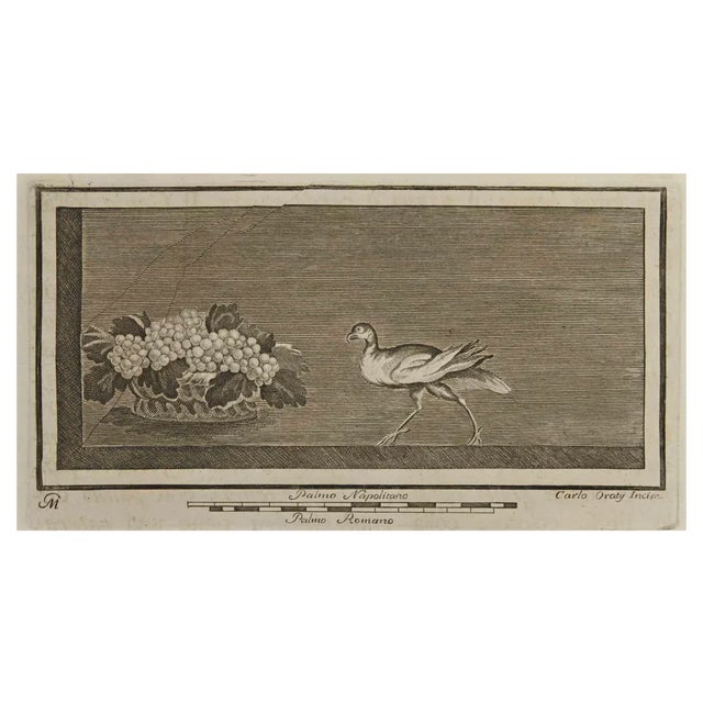 Carlo Oraty, Roman Still Life Fresco, Etching, 18th Century For Sale