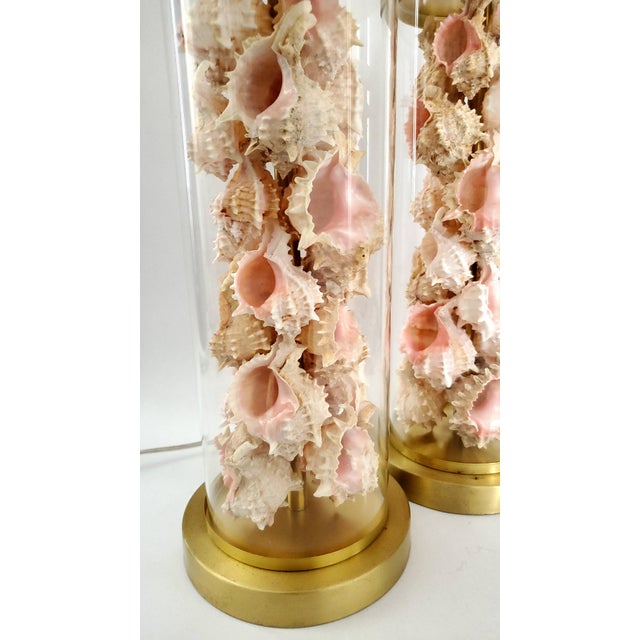 Lamps Signed Ralph Lauren Pair Shells Seashells Added For Sale - Image 11 of 18