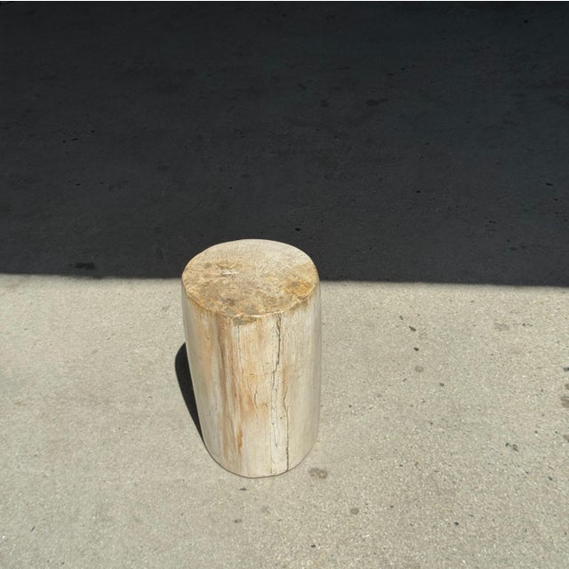 Small Side Table in Speckled White and Beige Petrified Wood, 1980s For Sale - Image 9 of 18