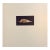 Brenda Zlamany, Birds, Cibachrome Photograph Print, Signed Conceptual Art For Sale