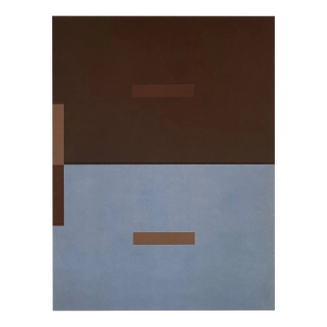 2009 Josef Albers the Interaction of Color Plate Vii-5