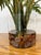 Glass Artificial Philodendron Xanadu Plant + Clear Glass Vase For Sale - Image 7 of 12