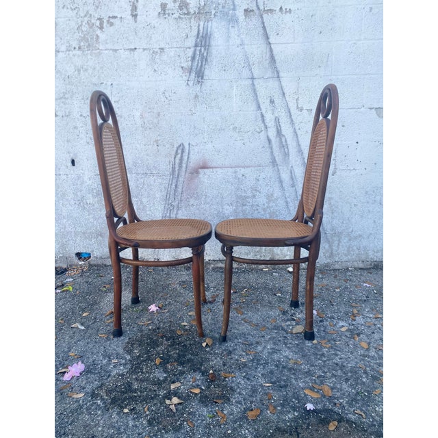 Thonet Atribute Benwood Long Johns' High Back Dining Chairs Set of 5 . For Sale - Image 9 of 12