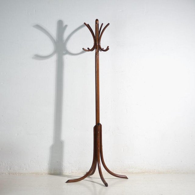 Antique Bentwood Coat Stand from Thonet, Central Europe, 1900 For Sale - Image 6 of 6