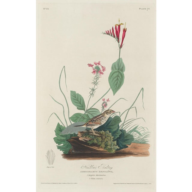 A remarkable collection of four double-sided vintage bird prints after John James Audubon, featuring eight celebrated...