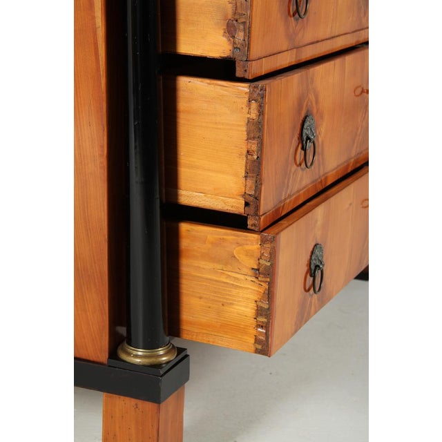 Tan Biedermeier Chest of Drawers, 1820s For Sale - Image 8 of 15