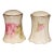 1930s Austrian O & E. G Rose Salt and Pepper Shakers For Sale