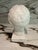 Plaster Lady Bust For Sale - Image 4 of 7