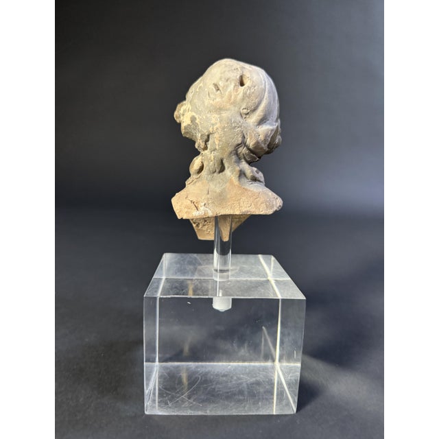 Head of a Neapolitan Nativity Scene Puppet, Late 18th Century For Sale - Image 11 of 13