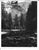 1960s matte black and white photo by California Don Coleman Ware (1921-2006) of Yosemite National Park. Bearing Ware's...