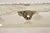 Vintage English Regency Silver Plated Oval Meat Cutlery Serving Platter Tray For Sale - Image 4 of 11