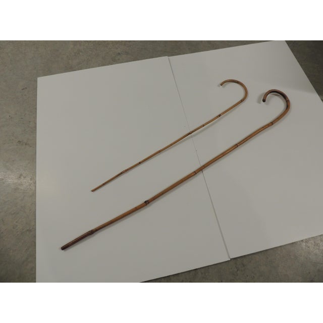 Boho Chic Vintage Skinny Bamboo Walking Sticks - Set of 2 For Sale - Image 3 of 5