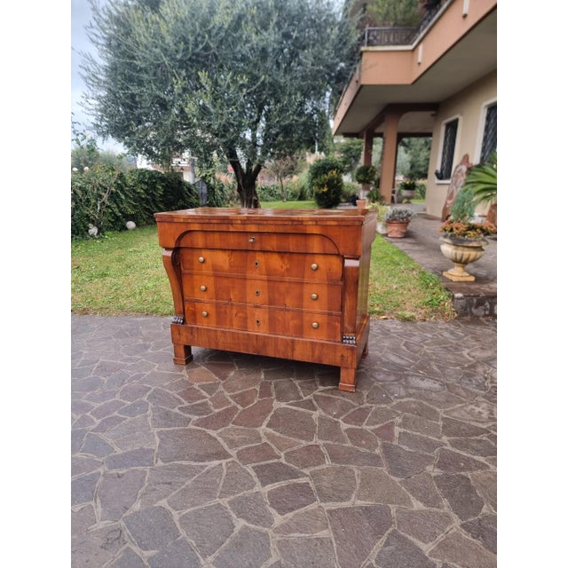 Empire Chest of Drawers 1830 in Walnut Veneer For Sale - Image 12 of 14